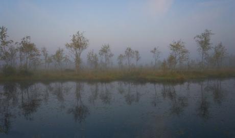 2 lutego obchodzimy World Wetland Day, czyli Światowy Dzień Mokradeł!